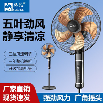 骆驼纯铜线电风扇家用落地扇摇头风扇定时机械工业立式遥控轻音